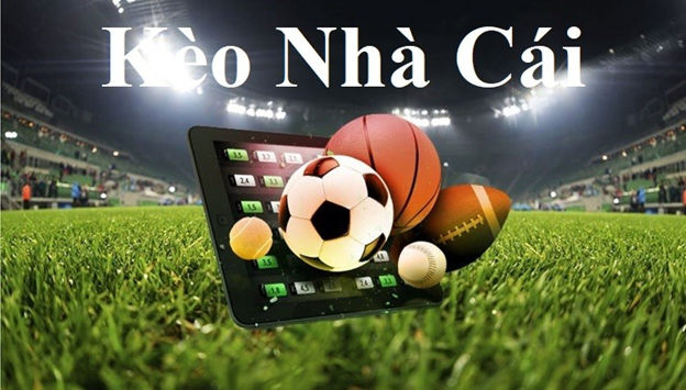 bet69-Code tân thủ - Cơ hội để bắt đầu một cuộc phiêu lưu mới!